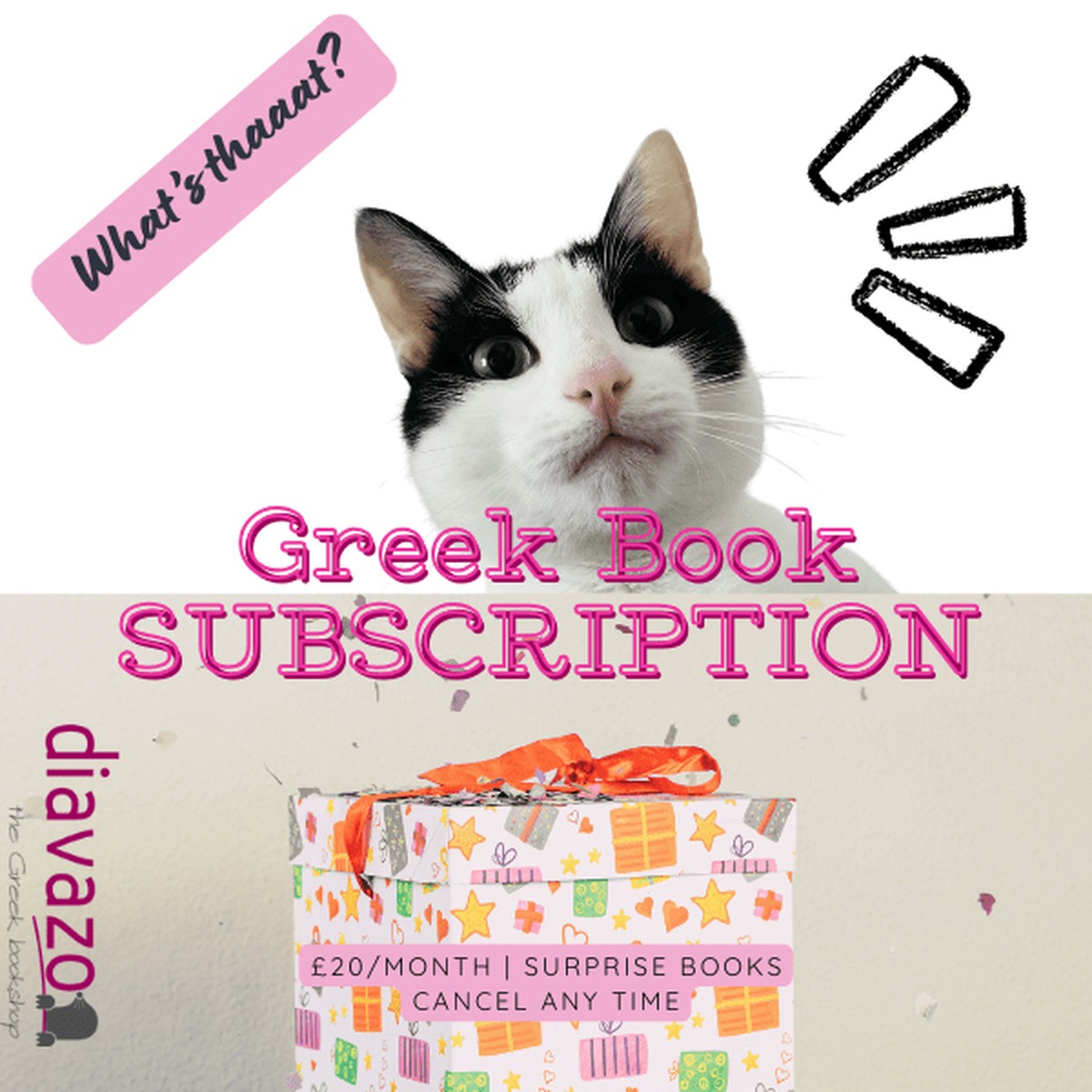 Surprise A Booklover Subscription