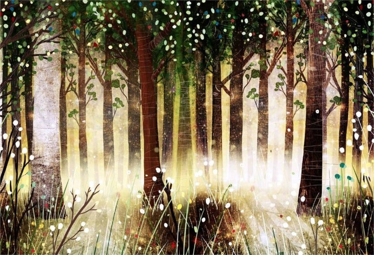 Ο Αρκούδος & το Πιάνο - David Litchfield